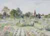 Merrow Morning Merrow Allotments