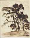 Surrey Pines 1946