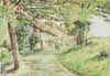 St Catherine's Hill Cottages c 1920