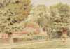 Cottage with geese and hens -  Monksgrove Cottages