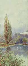 Chalk Pit, Guildford, early 20th Chalk Pit, Guildford